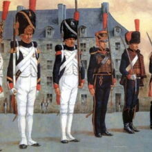 Организация Наполеоновской армии в эпоху Империи 1804-07 годы