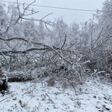 Снегопады оставили без электричества тысячи россиян