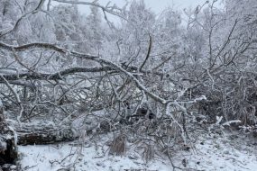 Снегопады оставили без электричества тысячи россиян
